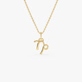 14K Capricorn Zodiac Charm Necklace 14K Gold Ferkos Fine Jewelry