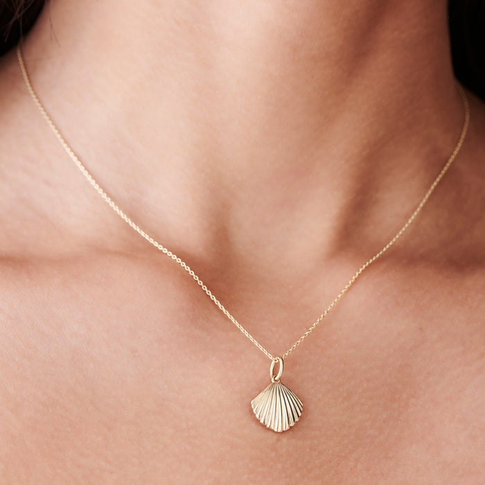 14k Shell Charm Necklace  Ferkos Fine Jewelry