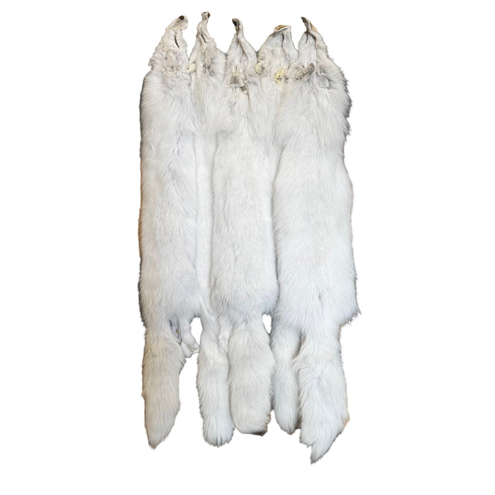 Arctic Fox - Wild - Professionally Tanned Pelt