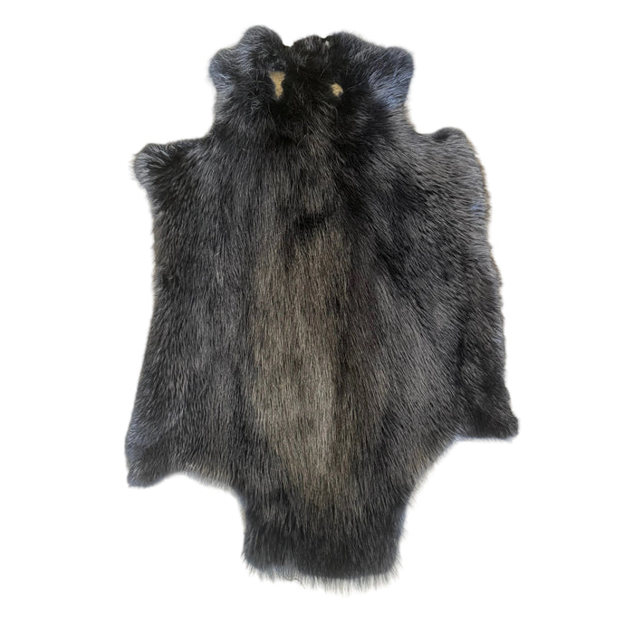 Beaver - Blue Dyed