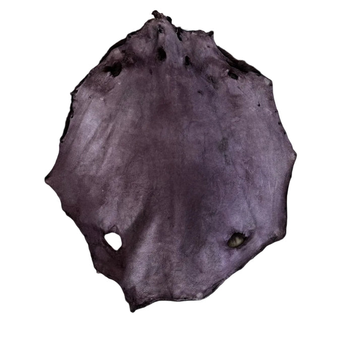 Beaver - Londra Dyed