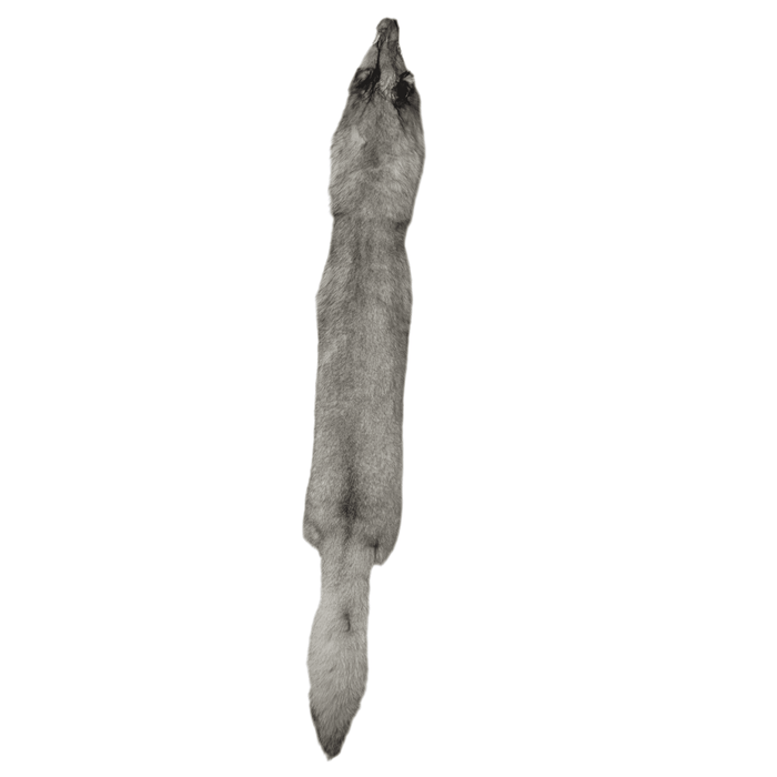 Blue Fox - Ranched - Professionally Tanned Pelt - Minnesota Trapline Products