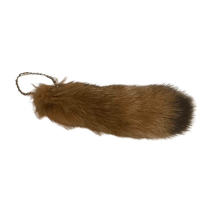 Bobcat Tail with Ball Chain