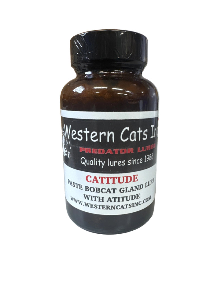 Catitude - Western Cats