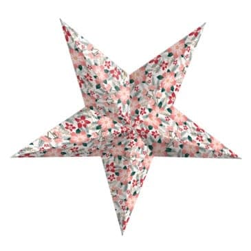 Clairefontaine Paper Touch- printed sheets- Hiver Floral - The Journal Shop