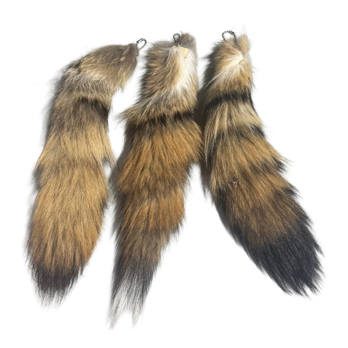 Coyote Tail on Ball Chain