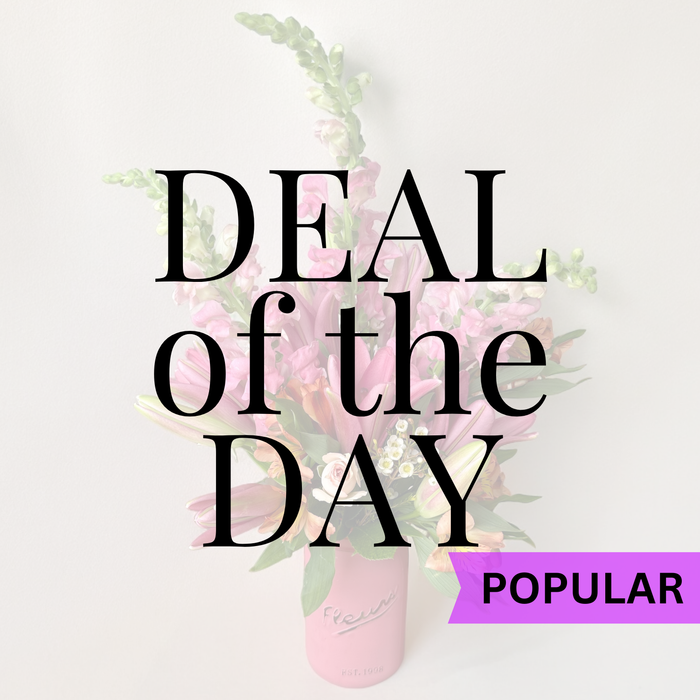 DEAL OF THE DAY