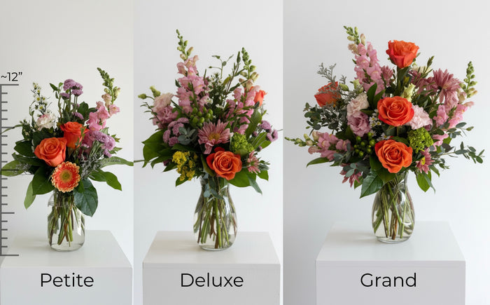 Designer's Choice
