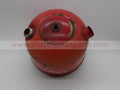 DSCN0770.JPG