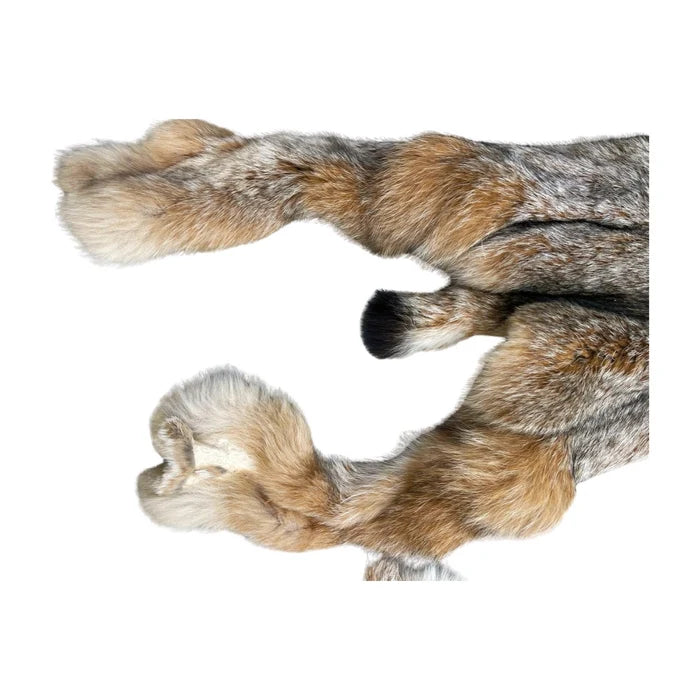Lynx - Professionally Tanned Pelt