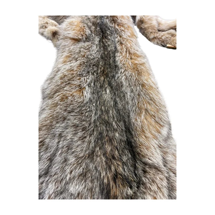 Lynx - Professionally Tanned Pelt