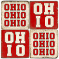 Ohio State Coasters