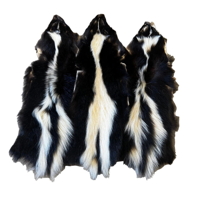 Skunk - Sewing/Crafting Pelts