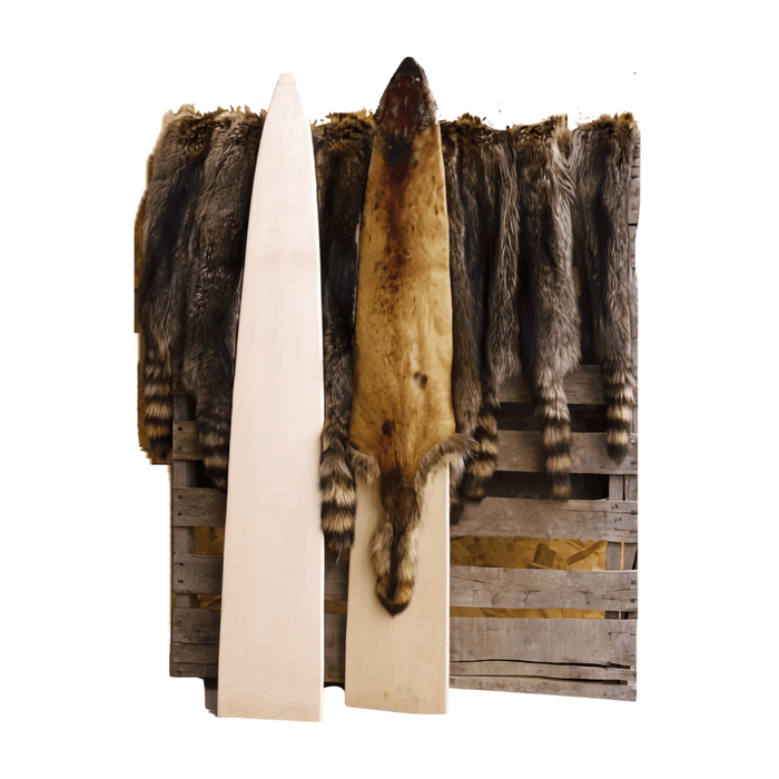 Solid Raccoon Boards (XLARGE)