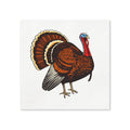 Thanksgiving Turkey Cocktail Napkins, 50-Pack, 3-ply, Party Napkins