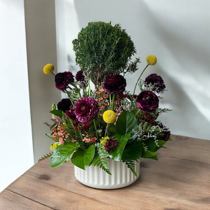 The forest - The Petal Parcel