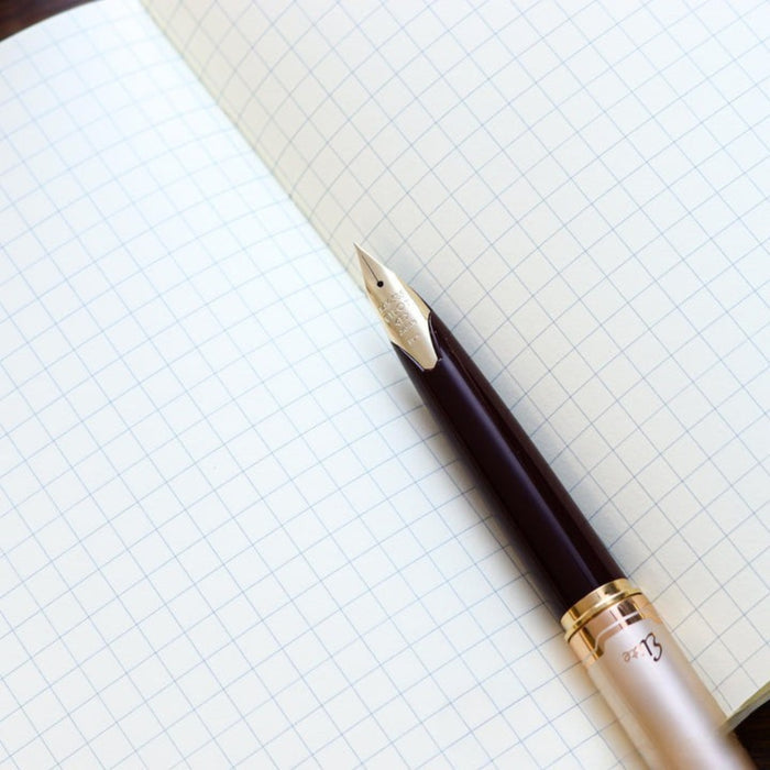 Tomoe River A6 squared notebook open with fountain pen.