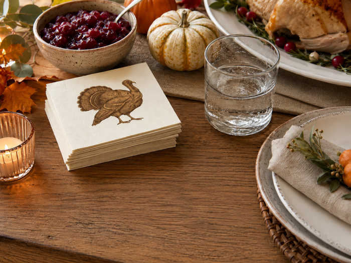 Vintage Turkey Thanksgiving Cocktail Napkins, 50-Pack, 3-ply, Classic Party Napkins