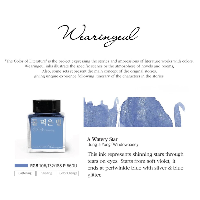 Wearingeul Jeong Jiyong Literature Fountain Pen Ink 30ml, shown from the front.