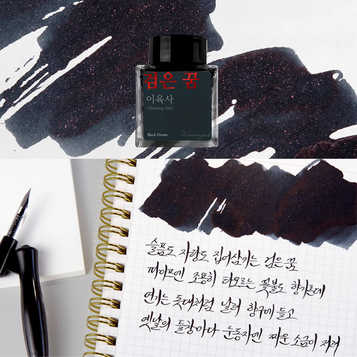 Wearingeul Lee Yuk Sa Literature Fountain Pen Ink – 30ml, shown in full.