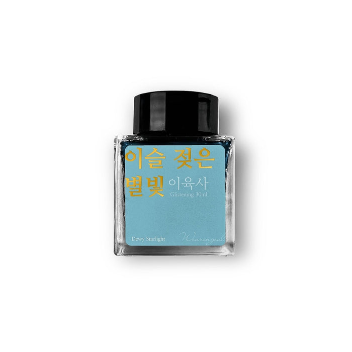 Wearingeul Lee Yuk Sa Literature fountain pen ink 30ml teal glass bottle.