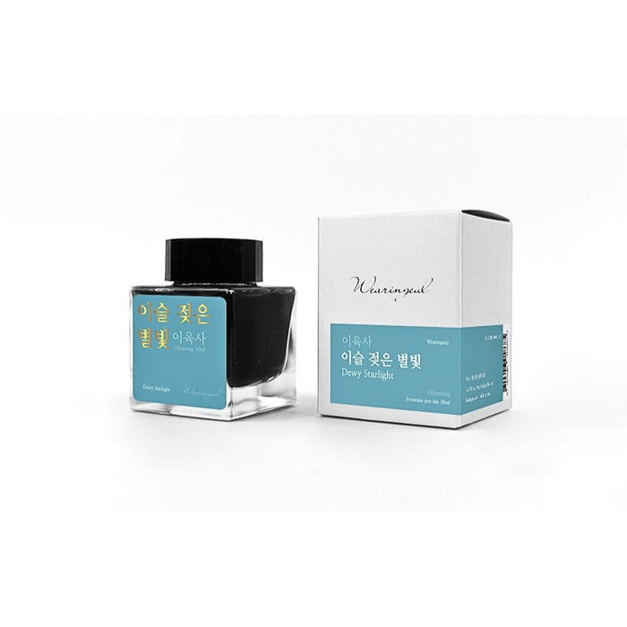 Boxed Wearingeul Lee Yuk Sa Literature teal fountain pen ink box.