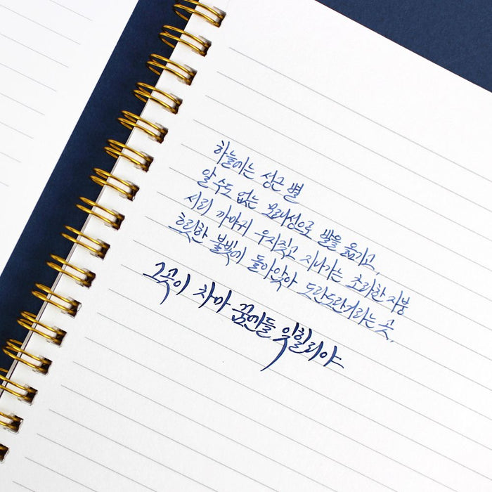 Handwritten notes in Wearingeul Reservoir Ring Notebook A5 with fountain pen.