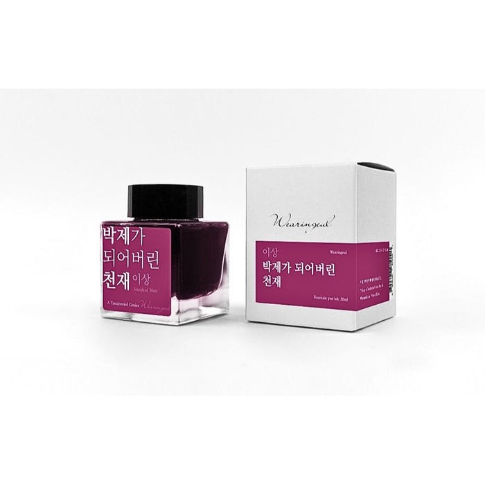 Wearingeul Yi Sang Literature fountain pen ink in pink shown with presentation box.