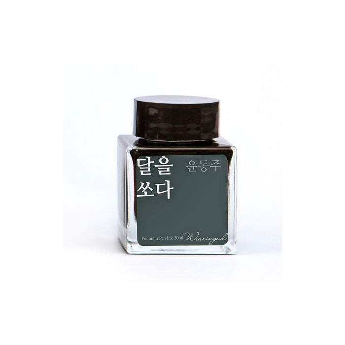 Wearingeul Yun Dong Ju Literature fountain pen ink bottle 30ml in dark green grey tone.